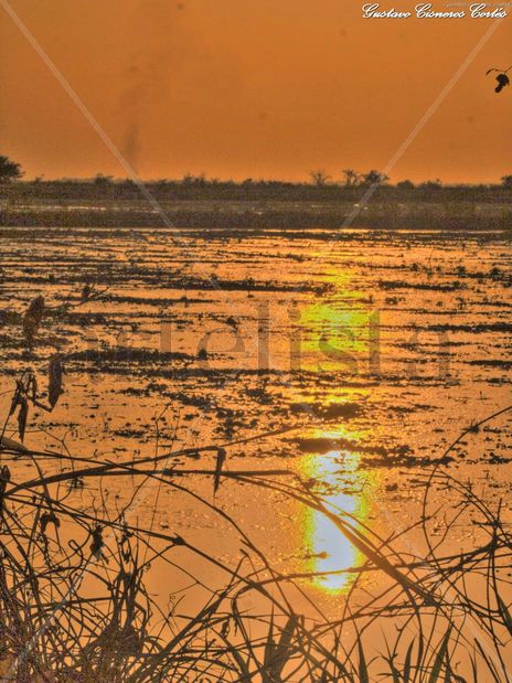 Atardecer LLanero...
