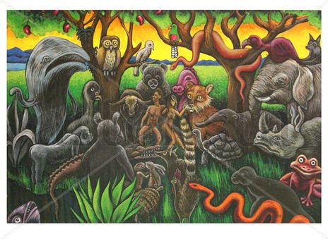 Animalitos