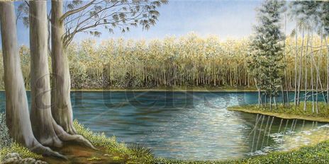 Laguna Verde