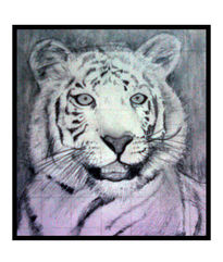 Tigre blanco