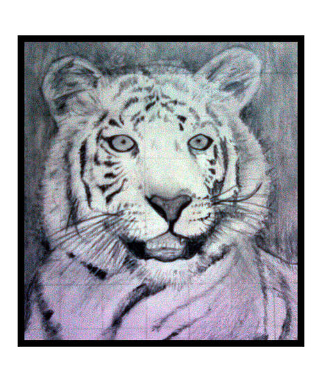 Tigre blanco