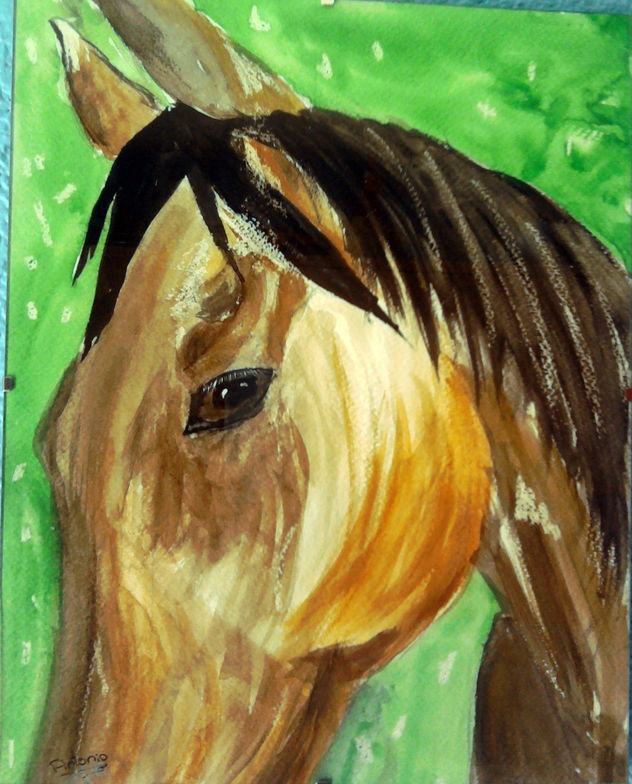 caballo arabe