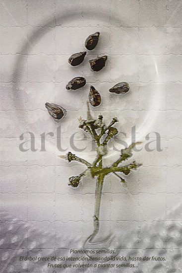 Del árbol al plato y biceversa 