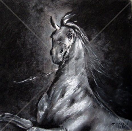 Caballo ii