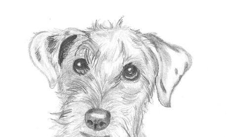 Dibujos