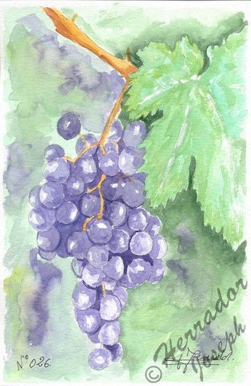 La uva fruta d' el sol Watercolour Paper Others