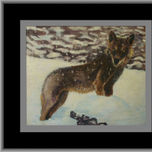 animales thumbnail 2