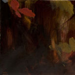 foc verd 2010 thumbnail 2