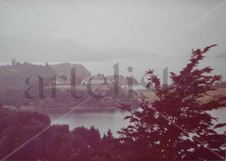 Neblina en llao llao