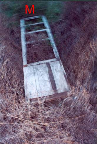 Puerta D.2012