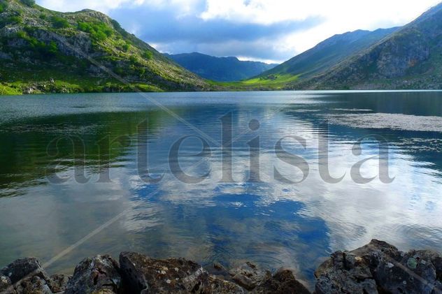 Reflejos