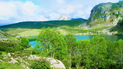 Azules y verdes