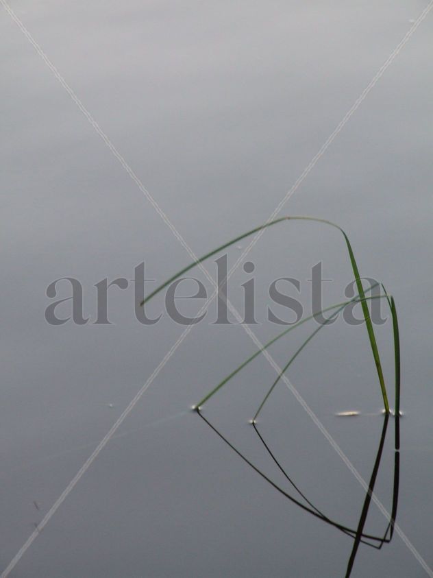 Reflejo