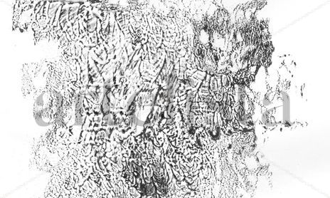 Dibujos