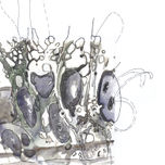Dibujos thumbnail 2