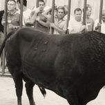 "PUEBLOS EN FIESTAS" thumbnail 2