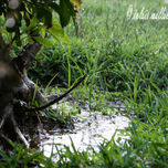 Rincones thumbnail 1