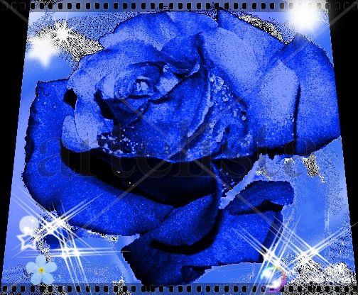 ROSA AZUL DIGITAL 