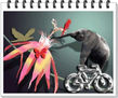 ELEFANTE Y FLOR
