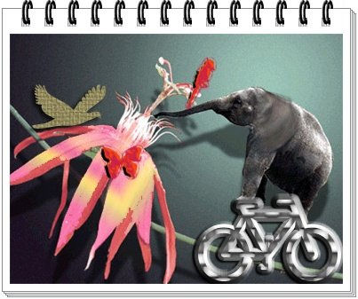 Elefante y flor