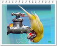 PAJAROS TOMAN AGUA