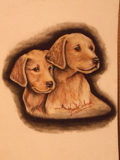 cachorritos Pastel Paper