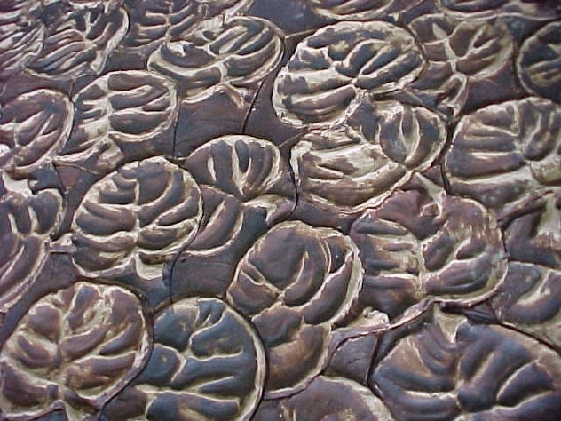 DETALLE COCOLOBA