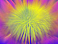FLUCTUACION   COSMICA