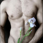 Flores thumbnail 2