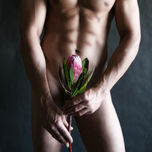 Flores thumbnail 1