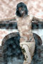 Cristo IV