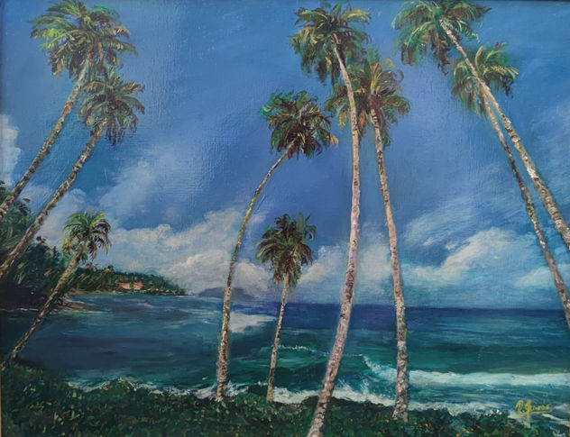 Playa de la Isla de Samoa