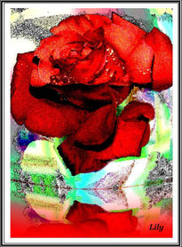 Rosa roja digital