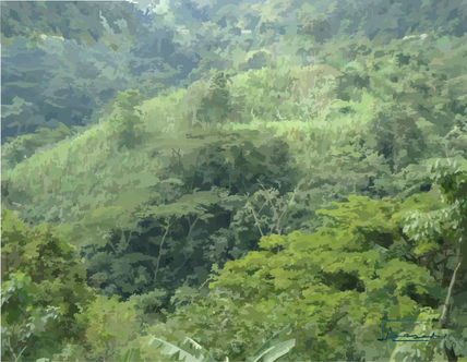 Green peace