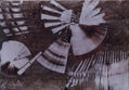 CORAZON QUIJOTE