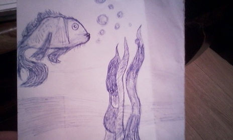 animales