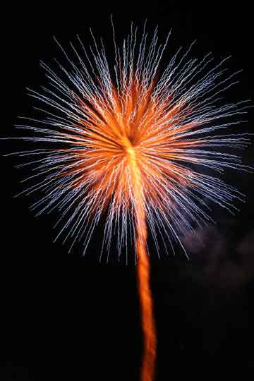 Flores de fuego
