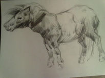 Pony