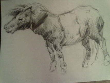 Pony