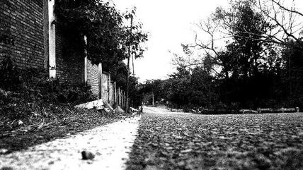Ruta