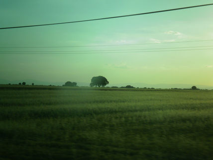 "Zaragoza camino de...