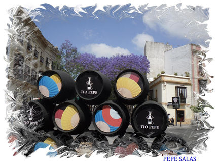 Jerez bonito