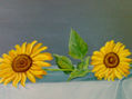GIRASOLES SOBRE LA MESA