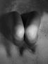 Las ballenas de mis sienes.