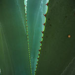2010 thumbnail 1