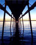 muelle