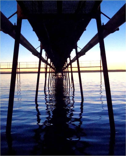 Muelle
