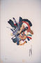 ROSTRO OCULTO
