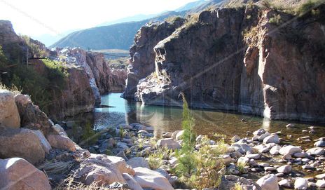Cacheuta