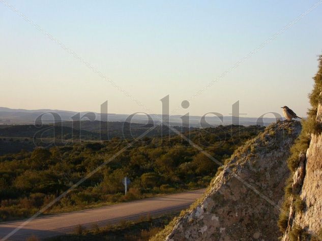 Contemplando Sierras 